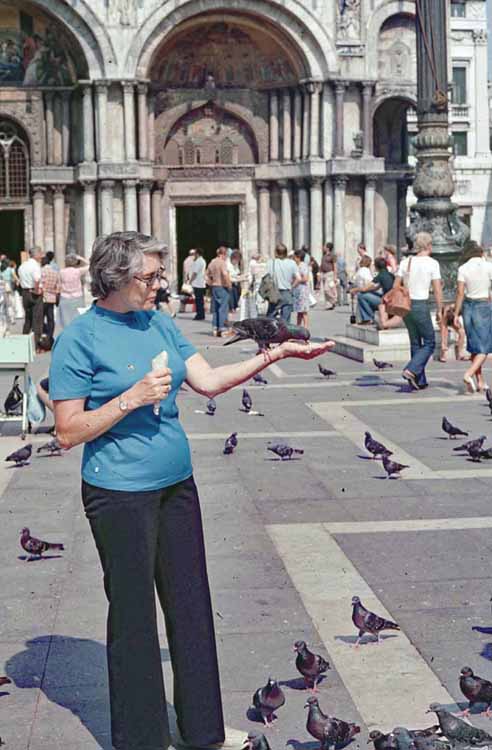 feeding pigeons
